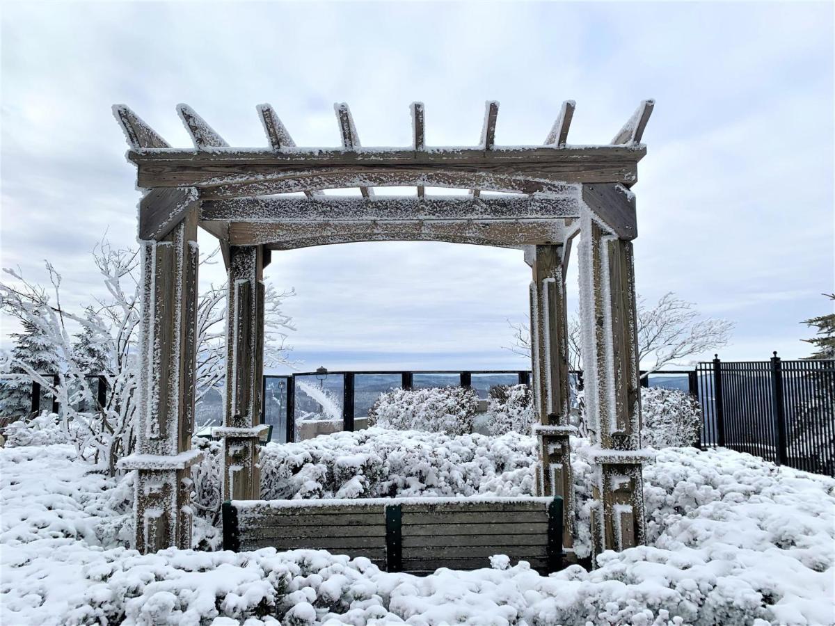 スノーシューSeneca 202アパートメント エクステリア 写真